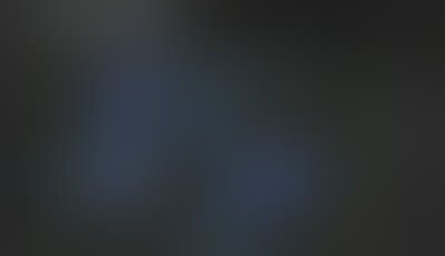 Spatial view of inspection coverage